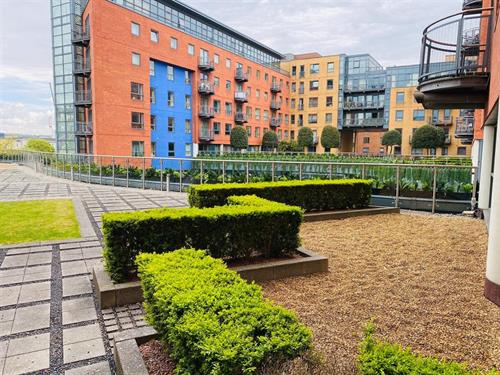 west one sheffield to rent