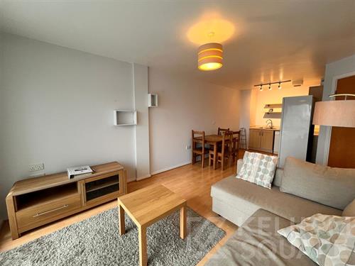 estate agent millsands sheffield